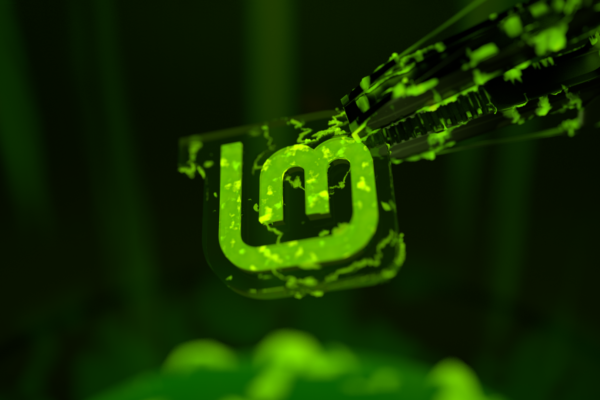 Linux Mint by Kevin Tee